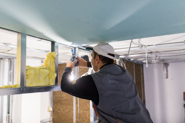 Best Home Insulation Services  in Valley View, PA