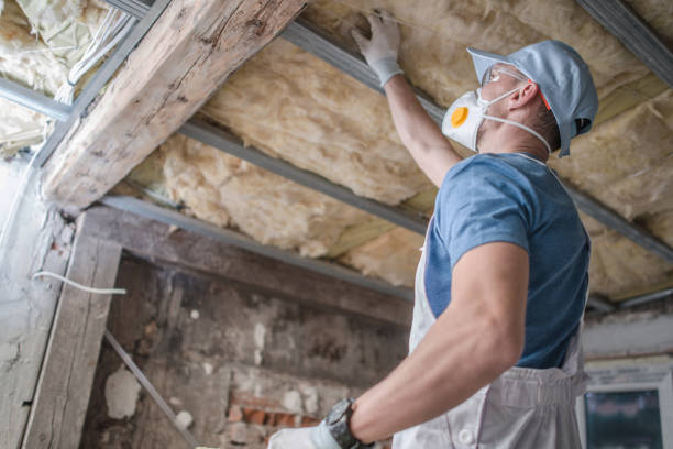 Best Insulation Replacement Services  in Valley View, PA