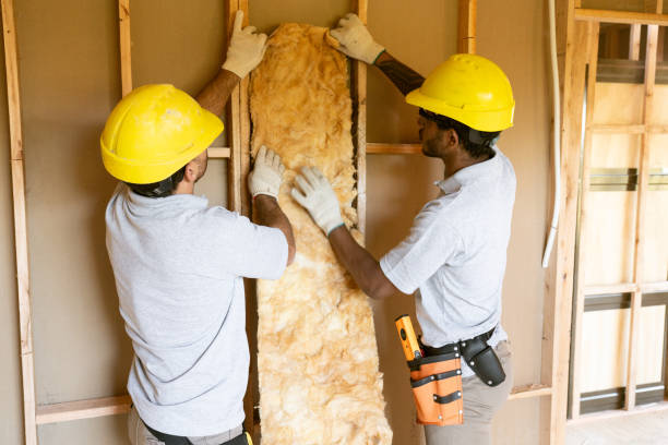 Best Local Insulation Services  in Valley View, PA