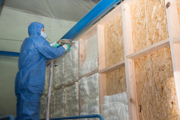 Best Insulation Removal  in Valley View, PA