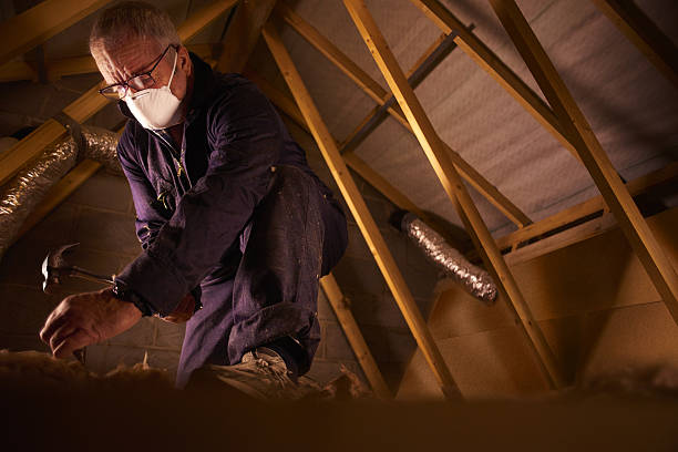 Best Crawl Space Insulation  in Valley View, PA